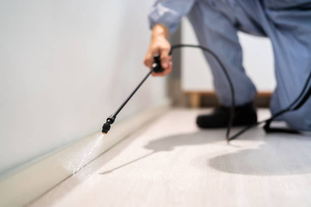 Certified termite inspector examining foundation in Bowdon